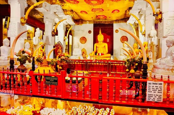 Kandy Transfer via Dambulla Cave Temple & Ayurvedic Herbal Garden photo 6