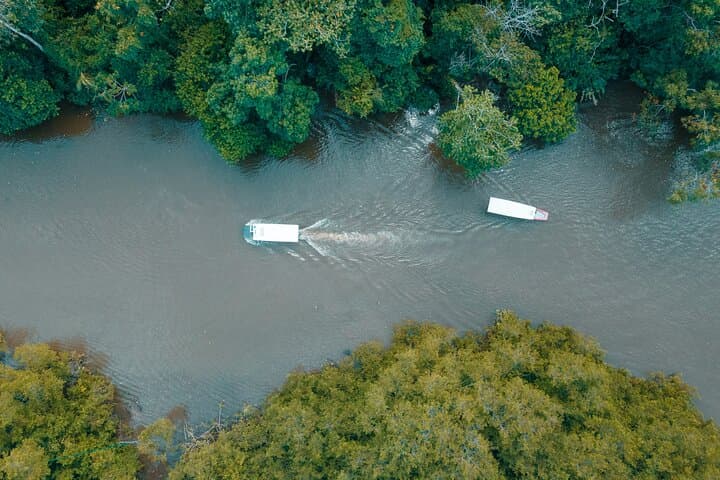 Tortuguero Canals and Rainforest Zipline Combo From Puerto Limón photo 3