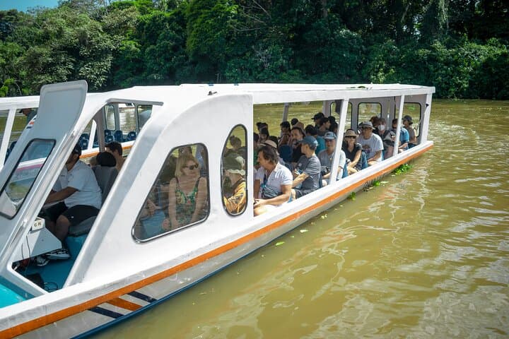 Cahuita to Tortuguero: 6-in-1 Wildlife, Canals & Caribbean Culture Day Tour