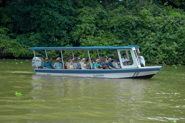 Cahuita to Tortuguero: 6-in-1 Wildlife, Canals & Caribbean Culture Day Tour photo 5