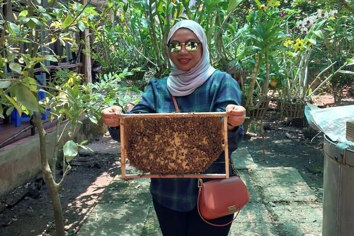 Mekong Delta One Day Guided Sightseeing Tour from Ho Chi Minh City photo 6