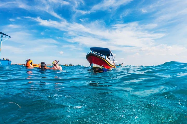 Bali Tropical Snorkeling & Mangrove Cruise from Tanjung Benoa
