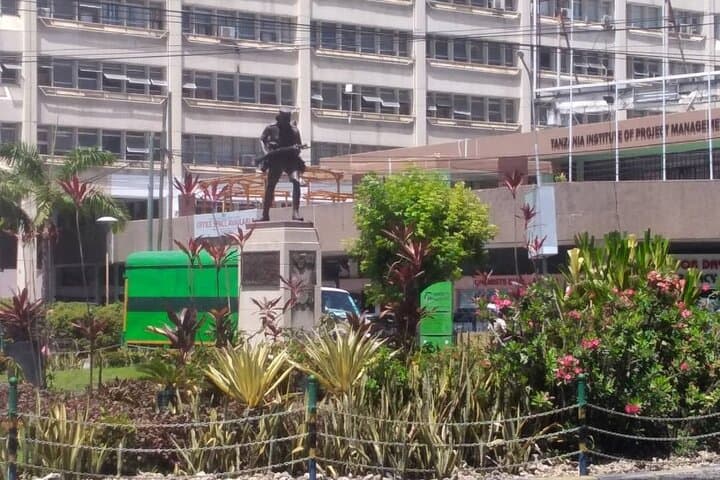 Private Insightful City Tour of Dar es Salaam — 1–2 Hour Walking & Driving Experience photo 2