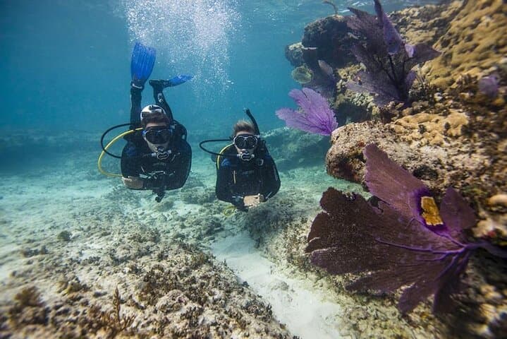Pulau Payar Scuba Diving from Langkawi - Marine Park Day Trip photo 5