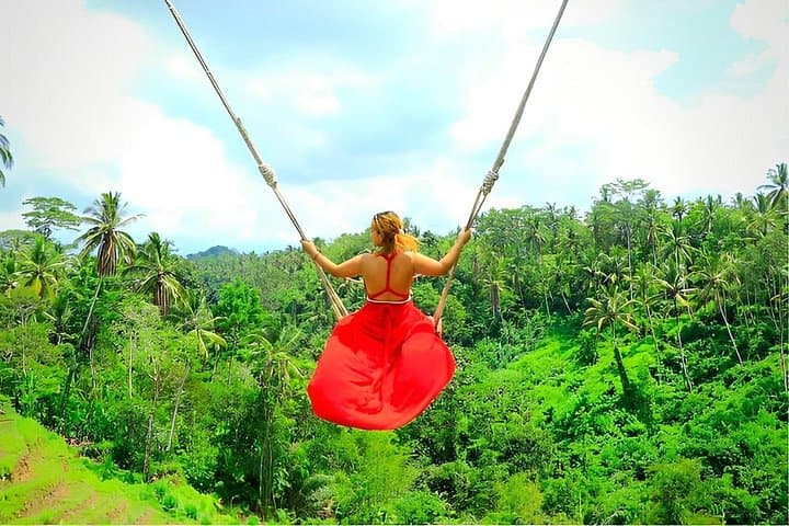 Ubud Full-Day Tour: Jungle Swing, Tegalalang Rice Terraces & Tirta Empul photo 3