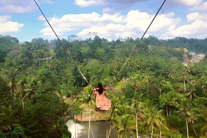 Ubud Full-Day Tour: Jungle Swing, Tegalalang Rice Terraces & Tirta Empul photo 1