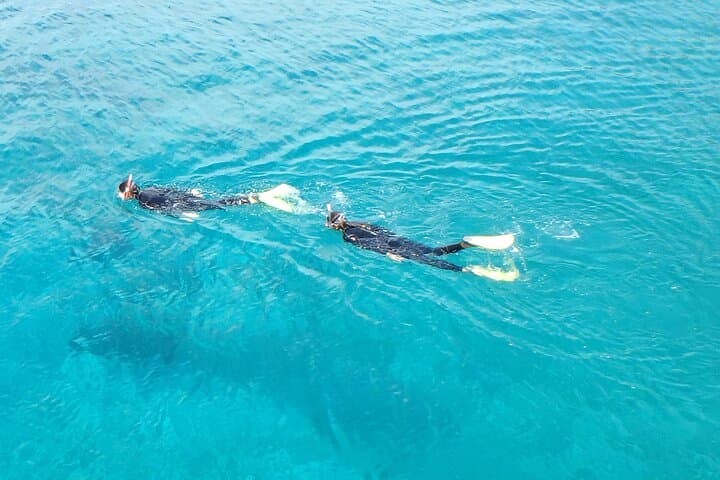 Half-Day Snorkeling Adventure to Pserimos: Dive-Boat Trip from Kos photo 3