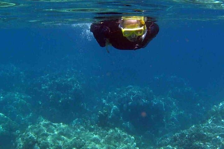 Half-Day Snorkeling Adventure to Pserimos: Dive-Boat Trip from Kos photo 5