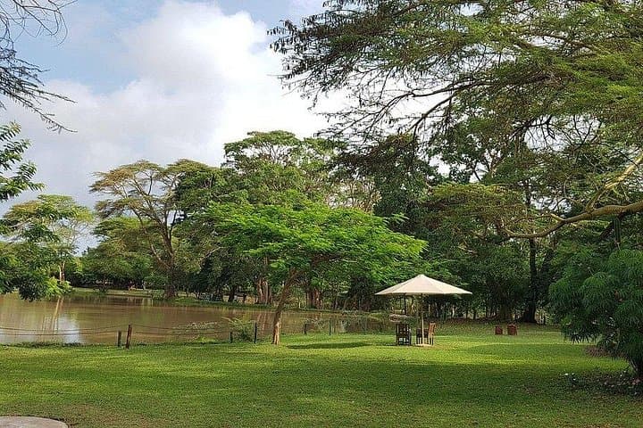luxury-10-day-kenya-big-5-safari-maasai-mara-amboseli-tsavo photo 2