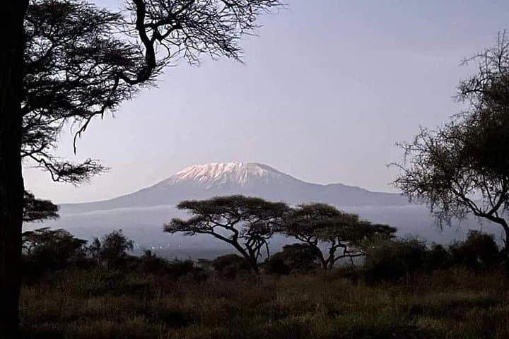 luxury-10-day-kenya-big-5-safari-maasai-mara-amboseli-tsavo photo 4