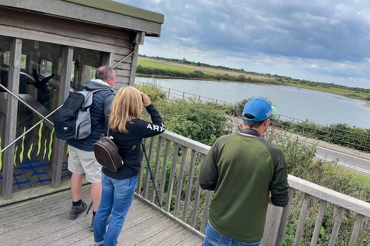 Sussex Birdwatching Day Tour: Guided Wildlife Hotspots from Brighton photo 1