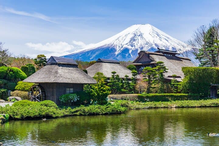 Mt Fuji Five Lakes Private Tour from Tokyo: Guide, Sites & Local Flavors photo 3