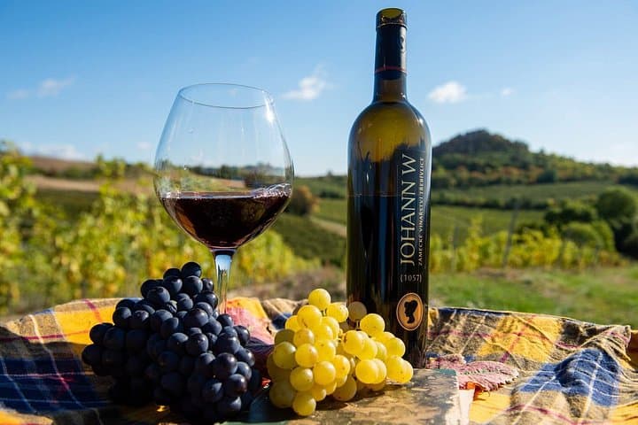 Off-Road to Bohemian Vineyards: Private 4x4 Wine Tasting & Picnic from Prague photo 3