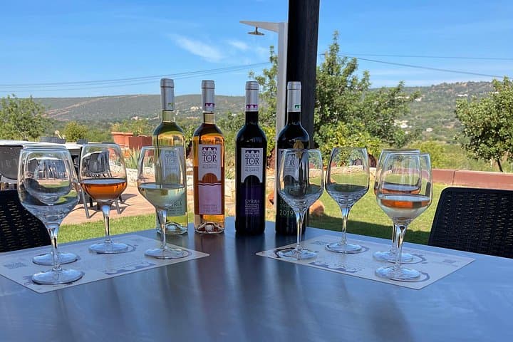 Ride & Wine: Electric Motorbike Tour to Quinta da Tôr Winery (Algarve) photo 3