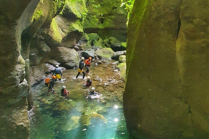 Advanced Canyon Experience — Dominica Waterfall Rappel in Rainforest Canyons photo 4