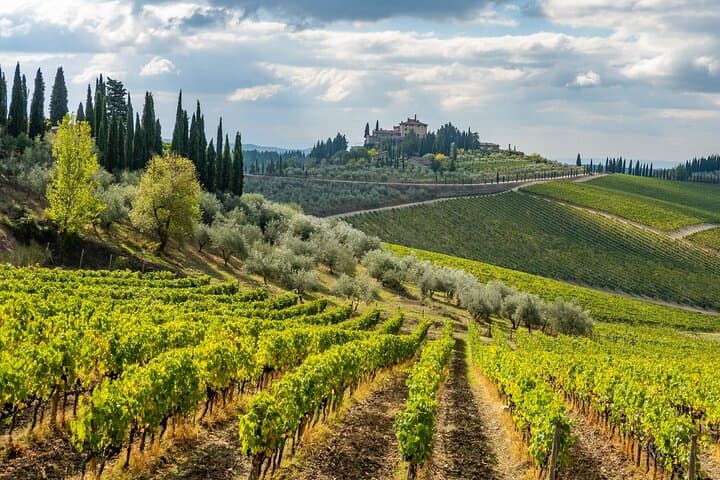Chianti E-Bike Tour & Wine Tasting: Ride Through Tuscan Vineyards photo 6