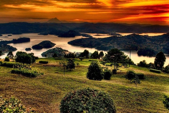 4-Day Uganda Gorilla and Wildlife Tour: Bwindi, Lake Bunyonyi & Lake Mburo photo 3