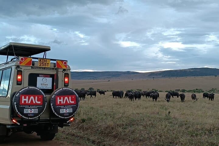 3-Day Maasai Mara Private Safari: Game Drives, Lodges & Wildebeest Migration photo 2
