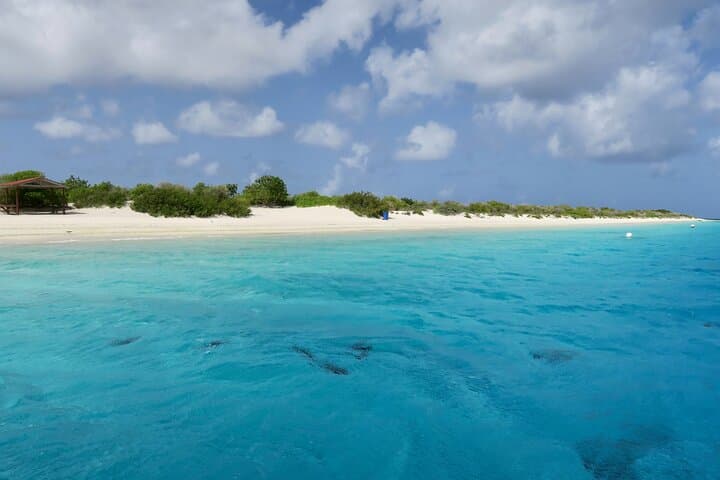 Beach Yoga at Pink Beach, Bonaire — Sunrise Hatha & Yin Session photo 4