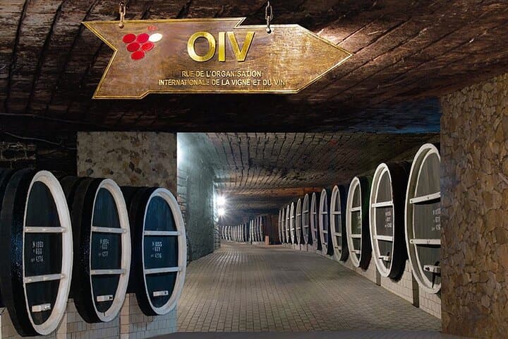 Inside Mileștii Mici: Tour the World’s Largest Winery and Manuc Bei Mansion