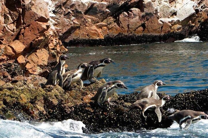 6-Day Peru Adventure: Lima, Paracas, Cusco, Sacred Valley & Machu Picchu photo 5