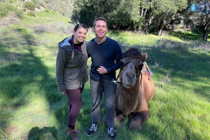 Wildlife in Altadena, California