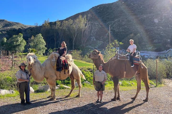 Camel Trek & Ranch Experience Near Los Angeles — 3-Hour Forest Ride, Animal Encounters & S'mores photo 3