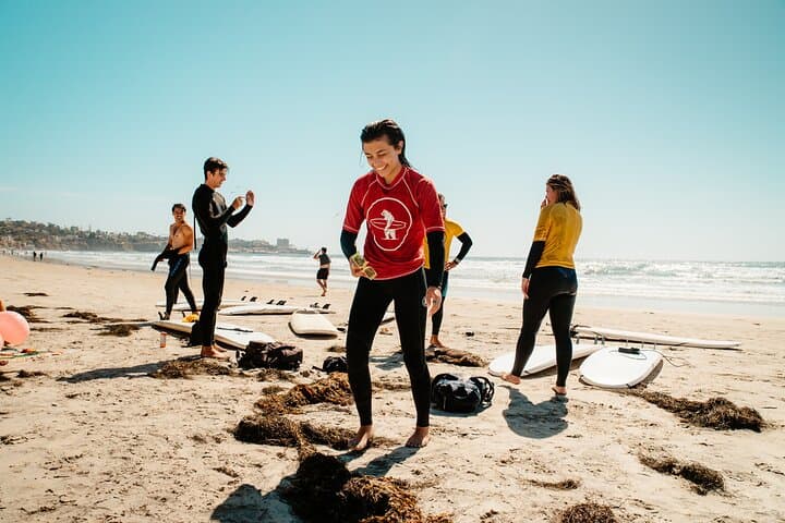 Learn to Surf in La Jolla Shores: 90-Minute Beginner Surf Lesson photo 5