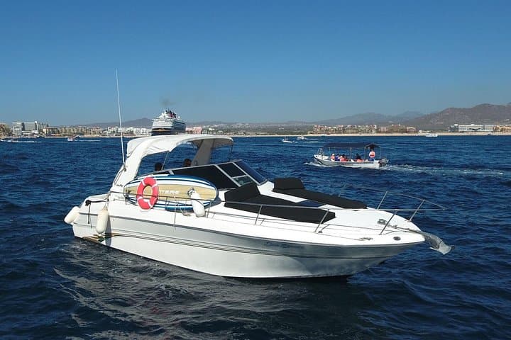 Private Luxury Whale-Watching Yacht Tour in Cabo San Lucas photo 5