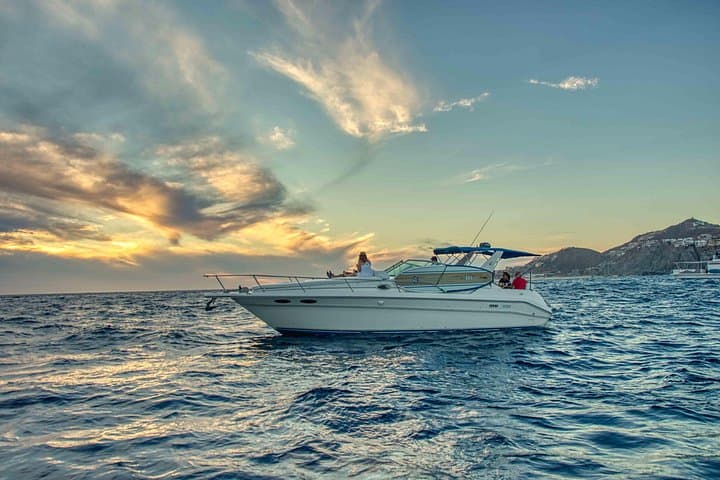 Private Luxury Whale-Watching Yacht Tour in Cabo San Lucas