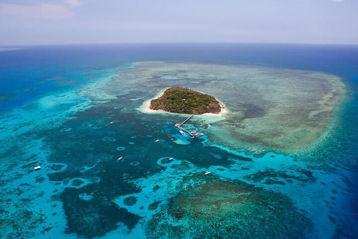Reef & Rainforest: 60-Minute Scenic Helicopter Flight Over Cairns photo 2