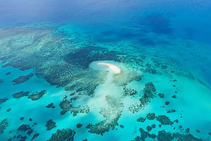 Reef & Rainforest: 60-Minute Scenic Helicopter Flight Over Cairns photo 3