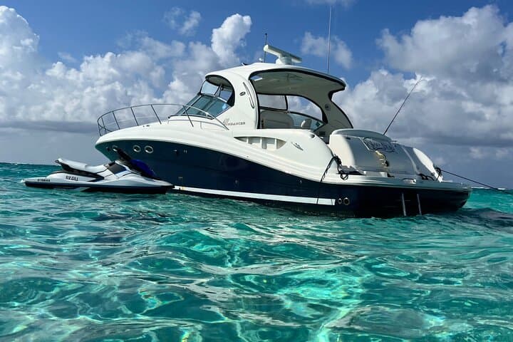 Private Half-Day Stingray City & Coral Gardens: Luxury Boat Tour from George Town photo 3
