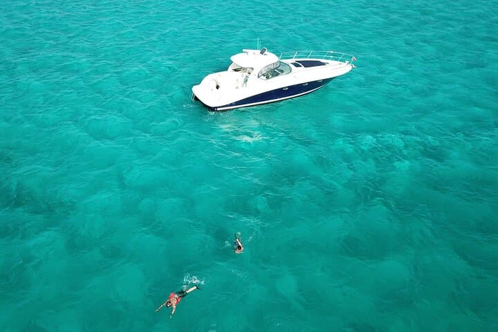 Private Half-Day Stingray City & Coral Gardens: Luxury Boat Tour from George Town photo 4