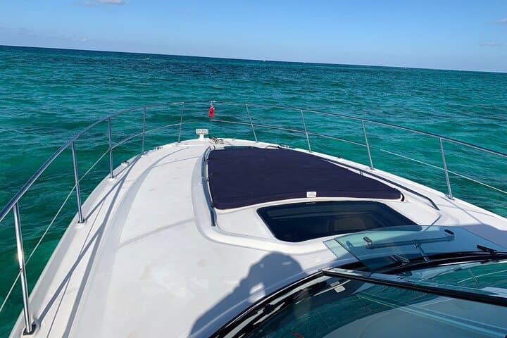 Private Half-Day Stingray City & Coral Gardens: Luxury Boat Tour from George Town photo 5