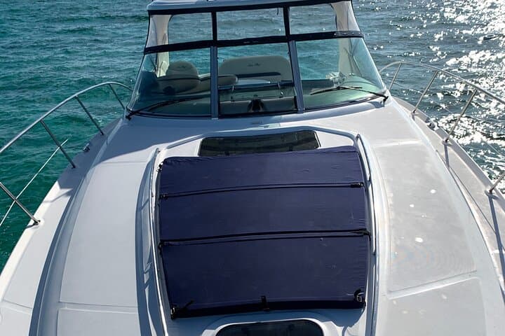 Private Half-Day Stingray City & Coral Gardens: Luxury Boat Tour from George Town photo 6