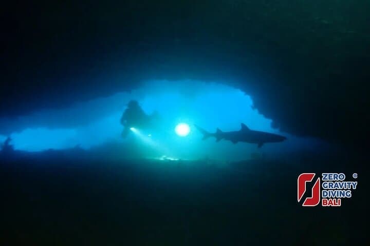 Shark Cave Dives at Tangked & Biaha — Two Certified Dives from Padangbai photo 1