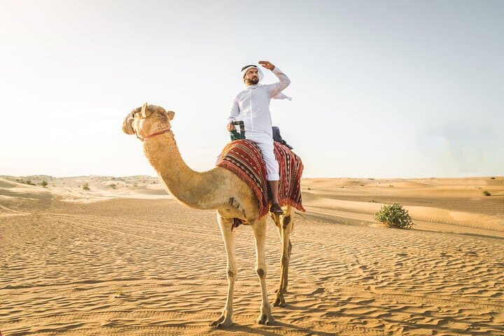 Dubai Morning Desert Safari: Dune Bashing, Sandboarding & Camel Rides
