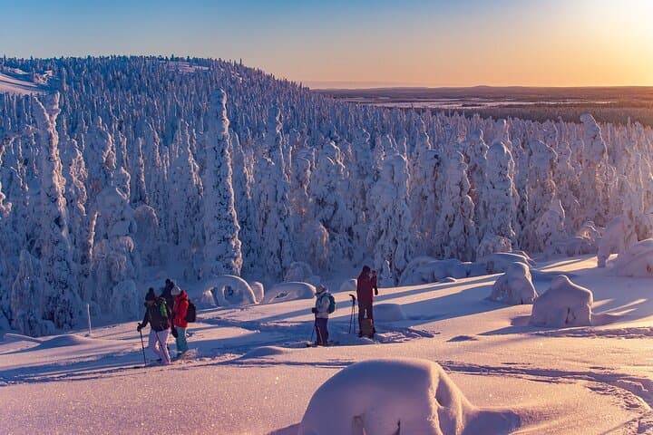 Full-Day Snowshoeing to Lampivaara Amethyst Mine from Rovaniemi — Pyhä-Luosto Adventure