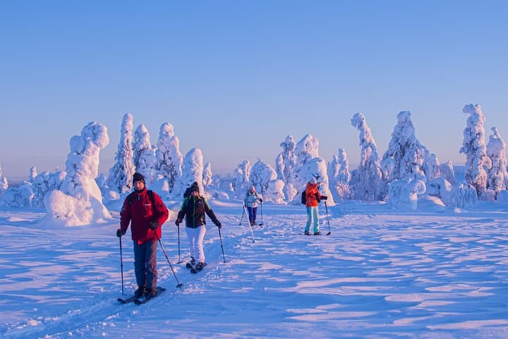 Full-Day Snowshoeing to Lampivaara Amethyst Mine from Rovaniemi — Pyhä-Luosto Adventure photo 6