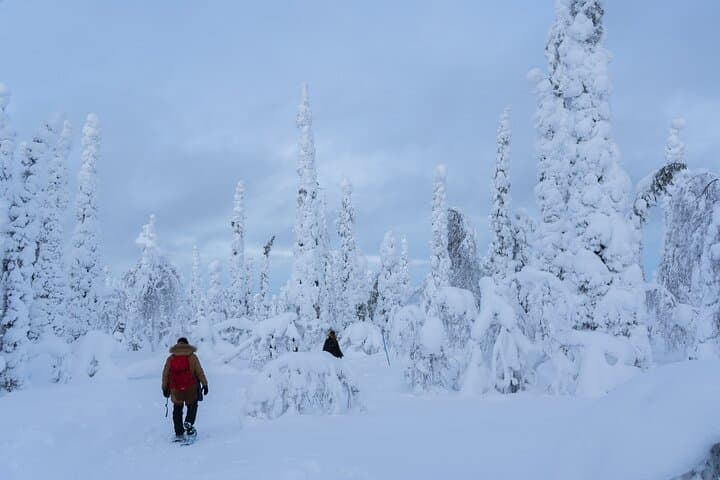 Full-Day Snowshoeing to Lampivaara Amethyst Mine from Rovaniemi — Pyhä-Luosto Adventure photo 2