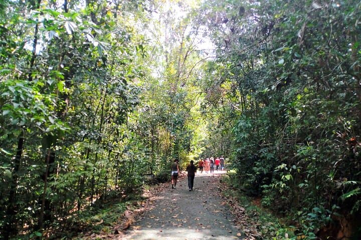 Kanneliya Rain Forest Tour: Guided Hike in Sri Lanka's Biodiversity Hotspot photo 3