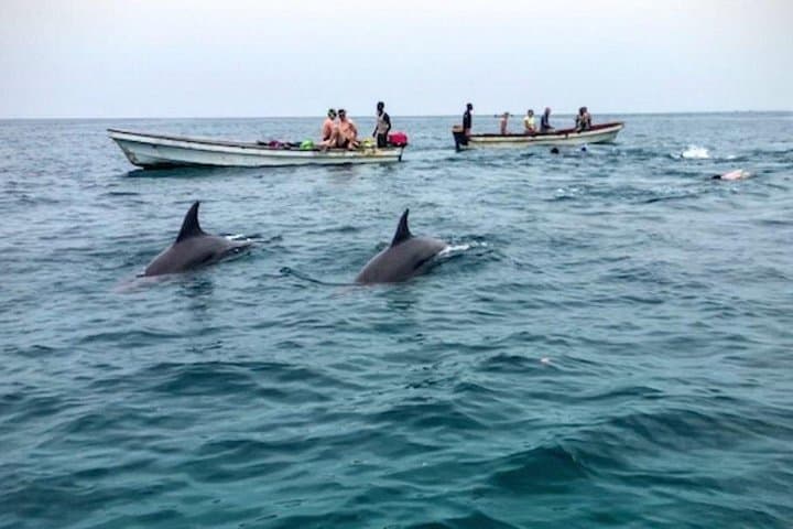 Mnemba Island Dolphin Swim and Snorkeling with Seafood Lunch
