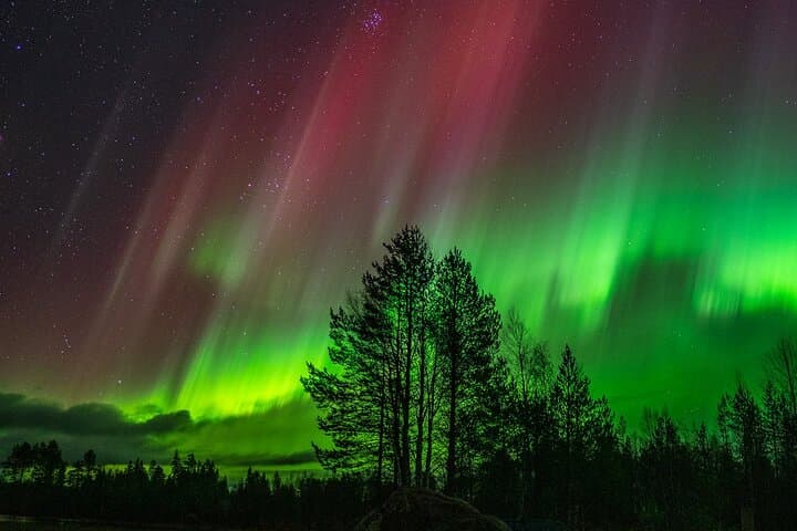 Ultimate Guaranteed Aurora Hunt from Rovaniemi: All-Night Northern Lights Chase