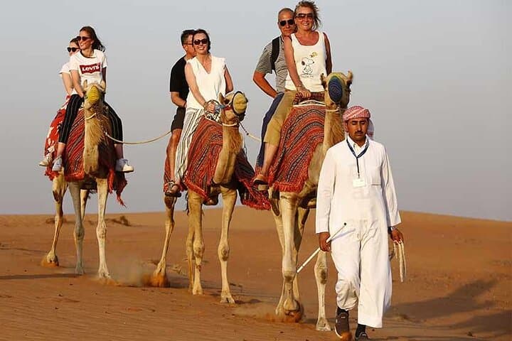 Sunrise Dubai Desert Safari & Camel Ride: Morning Dune Adventure
