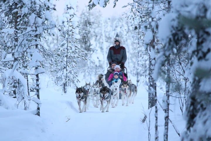 Self-Driven 7km Husky Sled Adventure Near Rovaniemi photo 5