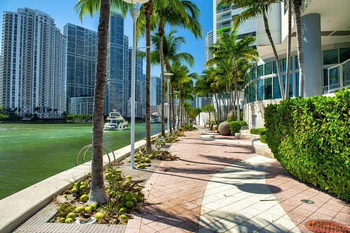 Private Downtown Miami Walking Tour — Pérez Art Museum to Brickell Highlights photo 4