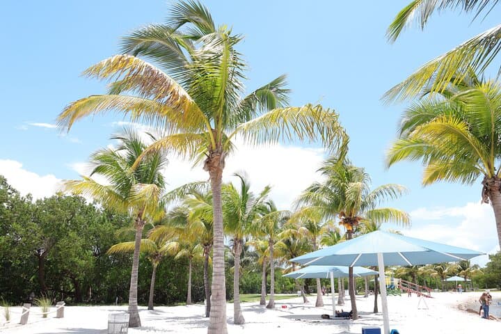 Private Downtown Miami Walking Tour — Pérez Art Museum to Brickell Highlights photo 6