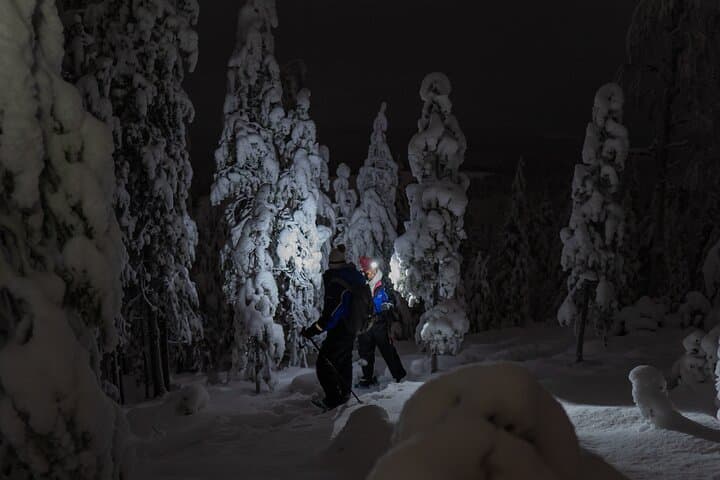 Night Snowshoeing under the Aurora: Rovaniemi Arctic Wilderness Adventure photo 4