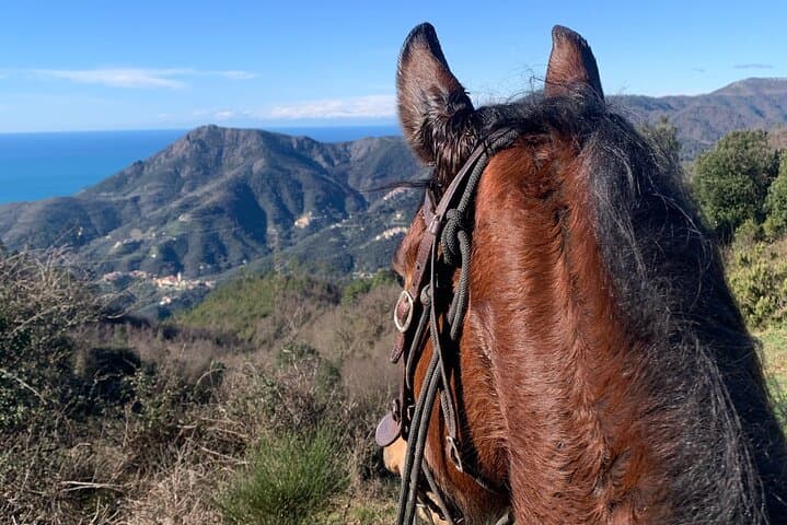 Monterosso Cinque Terre Coastal Horseback Ride: Sea Views & Trail Vistas photo 2